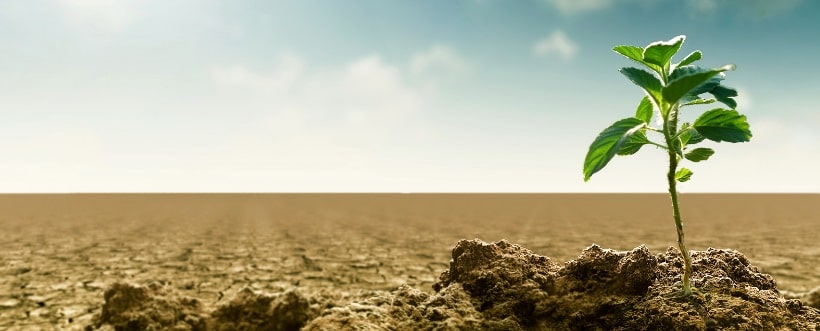 Requisitos para adquirir la licencia ambiental en México